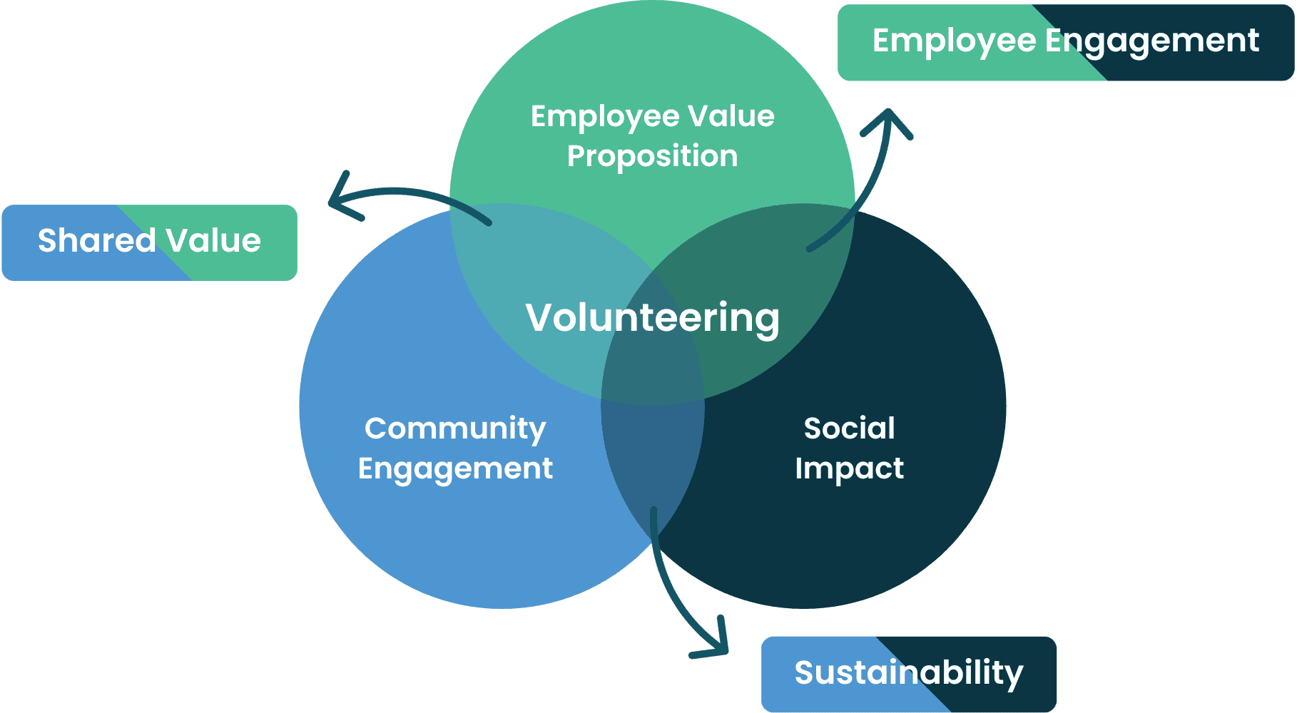 corporate volunteering employee volunteering